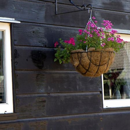 De Schaapskooi - Knus Veluws Vakantiehuisje Ede Eksteriør billede